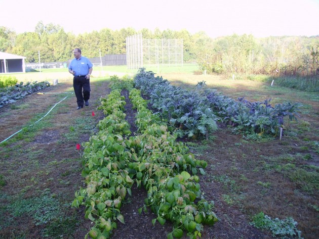 December 2011 University farm to grow local food for campus, community